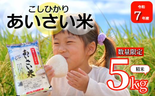 【令和7年産】 米 こしひかり 精米 5kg  お米 あいさい米 おこめ 白米 白飯 ご飯 ごはん 国産米 おにぎり おむすび お弁当 徳島 小松島