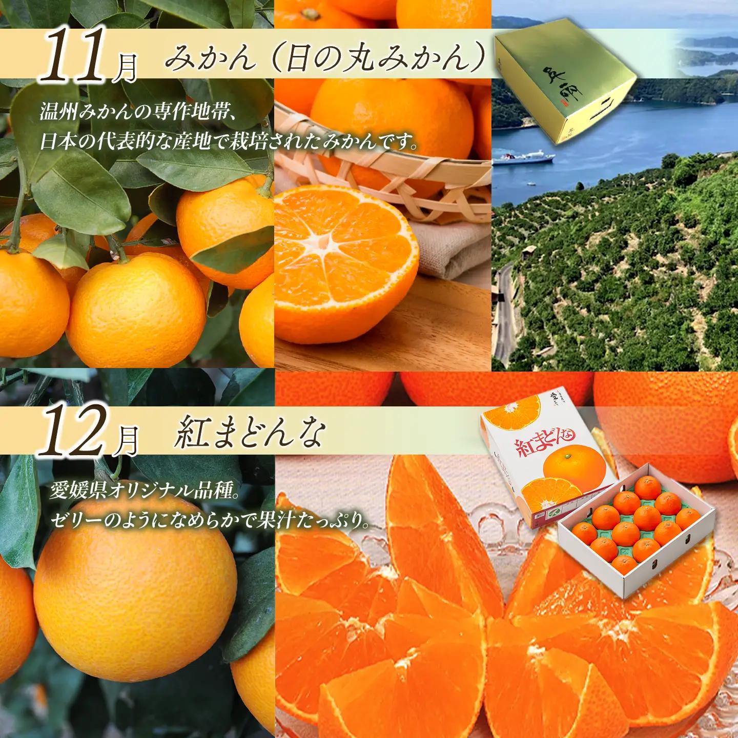 【先行予約】えひめ かんきつ定期便（全6回・11月～発送）【紅まどんな せとかなど】 