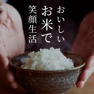 ふるさと納税 八代市 【先行予約】《令和7年産》くまさんの輝き 5kg×1袋 計5kg 熊本県産 |  | 02