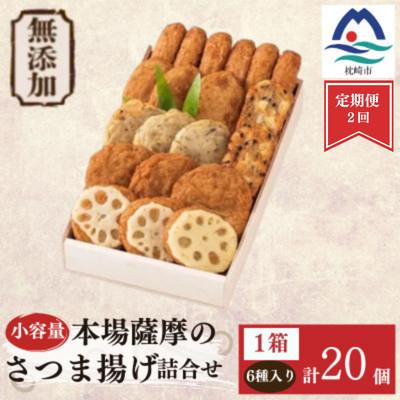 ふるさと納税 枕崎市 【毎月定期便】【無添加】 甘さ控えめ 本場薩摩のこだわりさつま揚げ詰合せ　小容量 NN0-02全2回