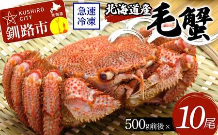 【期間限定！寄附額改定↓！】北海道産毛蟹500g前後×10尾 北海道 カニ 毛ガニ 毛蟹 かに かに味噌 急速冷凍 活蟹 活毛蟹 活毛ガニ F4F-8643
