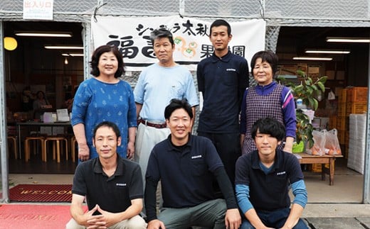 サン太秋 化粧箱 大玉 5~6玉 約2kg