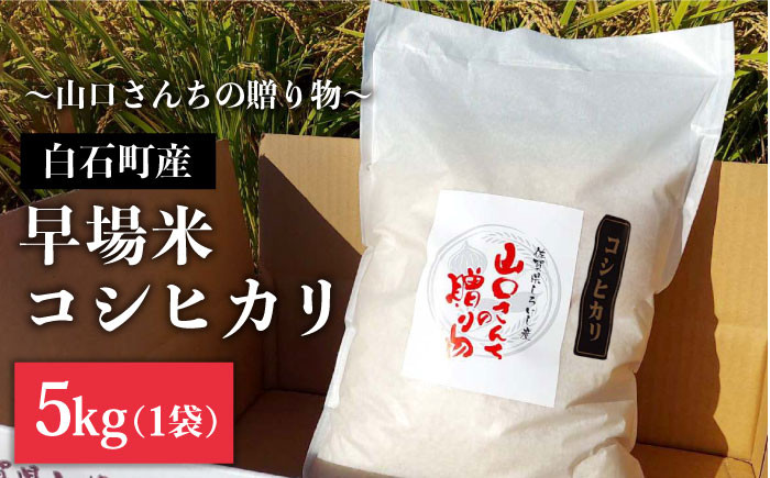 
            【先行予約】【令和7年度産新米】特別栽培米 早場米 コシヒカリ 5kg ～山口さんちの贈り物～【y'scompany】米 お米 コシヒカリ こしひかり 早場米 特別栽培米 白米 お米 [IAS001]
          