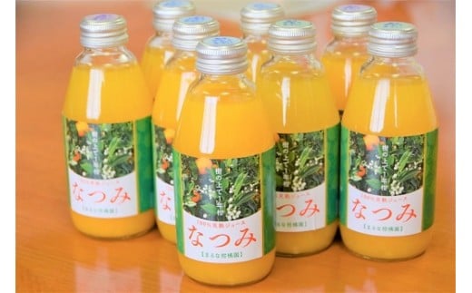 B-123　無添加100％南津海（なつみ）ジュース（200ｍｌ×10本）