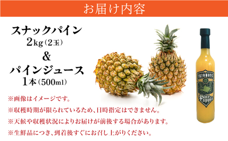 訳あり 2024年 先行予約 セット パイナップル 2kg 甘さをぎゅっと詰め込んだ100％ パイナップルジュース 1本 大きさ不揃い パイン 果物 フルーツ