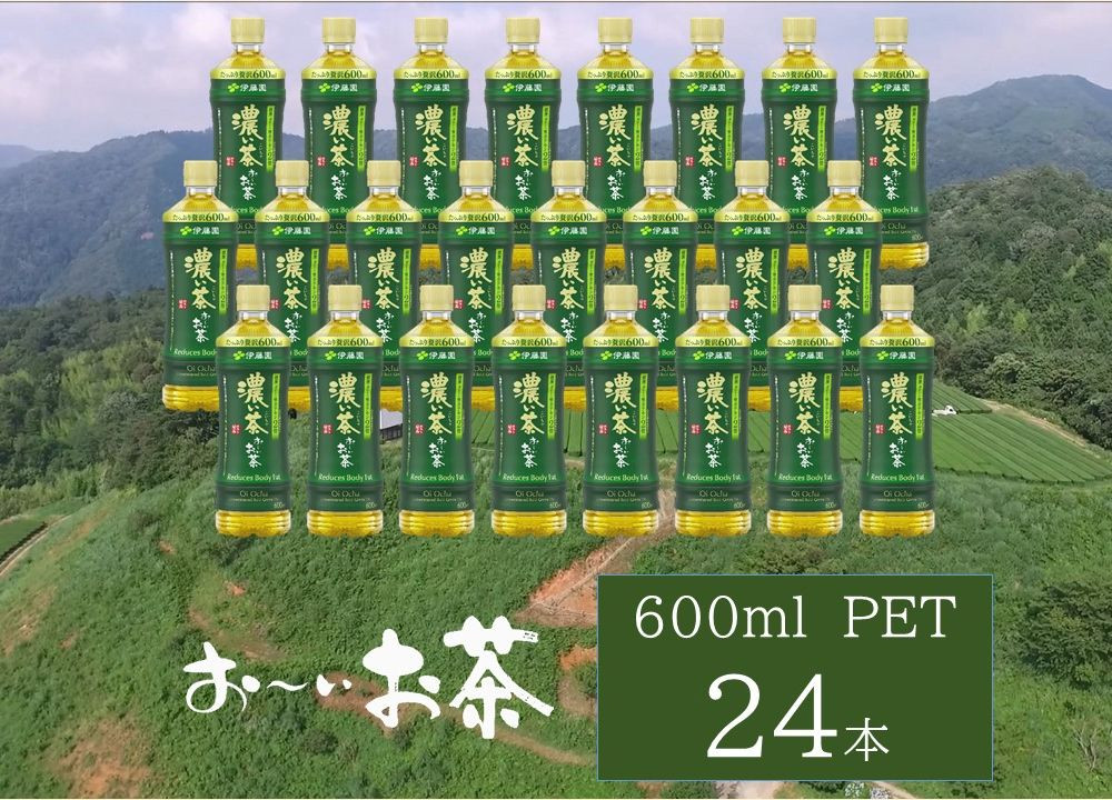 
お～いお茶 濃い茶ＰＥＴ 600ml 24本入り×1ケース 飲料 ドリンク お茶 濃茶 ペットボトル 新生活 応援 準備 【1640】
