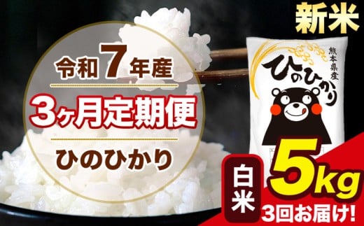 新米 令和7年産 【3ヶ月定期便】 ひのひかり 白米 5kg 5kg×1袋 計3回お届け 熊本県産 こめ コメ 白米 精米 荒尾市 ひの 米 定期 《お申込み月の翌月から出荷開始》