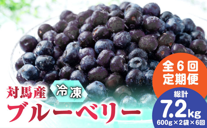 
            【先行予約】【全6回定期便】 大容量 対馬産 ブルーベリー （ 冷凍 ） 1.2kg【2025年7月上旬以降順次発送】【 さほの里ファーム 】《 対馬市 》 有機 旬 果物 フルーツ [WBG003]
          