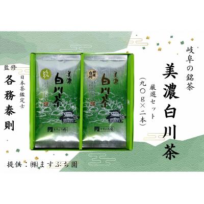 ふるさと納税 岐阜県 [岐阜の銘茶]美濃白川茶厳選セット(2袋入り)