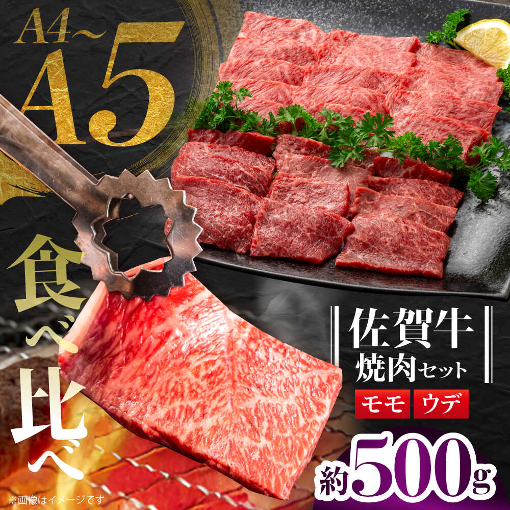 【ふるさと納税】佐賀牛 焼肉セット C モモ ウデ 約500g 【JAさが 杵島支所】[HAM093]