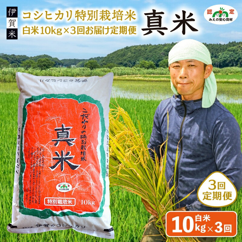 【ふるさと納税】伊賀米コシヒカリ特別栽培米「真米」白米10kg×3回お届け定期便 | 玄米低温貯蔵 米 白米 特別栽培米 冷めてもおいしい 産地直送 人気 おすすめ 送料無料 お取り寄せ 三重県 伊賀市