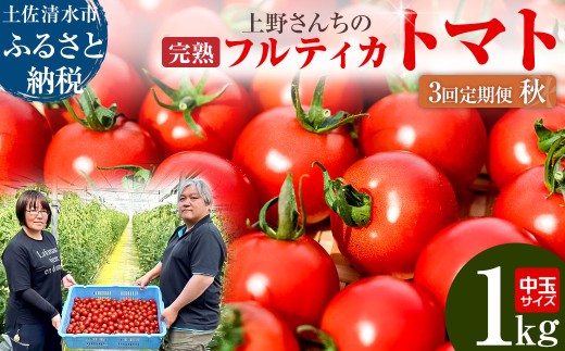 R8年産 完熟フルティカトマト1kg（中玉サイズ）3回定期便 秋 10月/11月/12月にお届け 先行受付 天然地下水使用  ミディトマト とまと 1000g 1キロ 野菜 サラダ 料理 美味しい 甘い ギフト 国産 高知県 土佐清水市【J00222】
