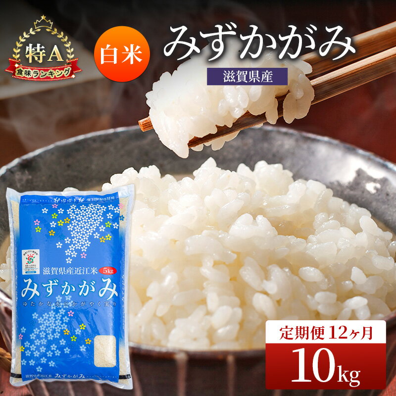 【ふるさと納税】みずかがみ 白米 10kg 定期 12回　米 コメ お米 こめ 精米 ミズカガミ 滋賀県 豊郷町