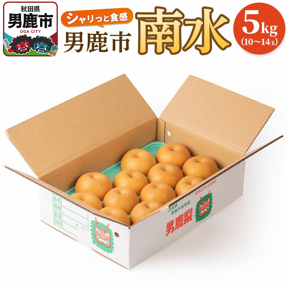 【ふるさと納税】【令和8年度 早期受付】南水 5kg 10玉〜14玉 梨 なし ナシ 秋田県 男鹿市 旬の果物 フルーツ