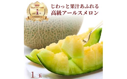 芳醇な甘さ。さんて旬菜館の高級アールスメロン(1個入) お中元 芳醇な甘さ さんて旬菜館の高級 アールスメロン 1個入 メロン めろん おすすめ 人気 国産 青肉 産地直送 茨城 鉾田 フルーツ 旬 大きい プレゼント 贈り物 旬 定番 果物 くだもの 甘い 特大 上品