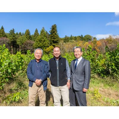 ふるさと納税 矢吹町 桑の葉パウダープレミアム　桑茶　美味しい飲みやすい!50g×3パック入り |  | 02