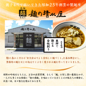 【訳あり】飛騨中華そば・みそラーメン各5食 計10食 ラーメン 高山ラーメン ご当地グルメ お試しセット 常温保存 お手軽 簡易包装[AL018] 飛騨市
