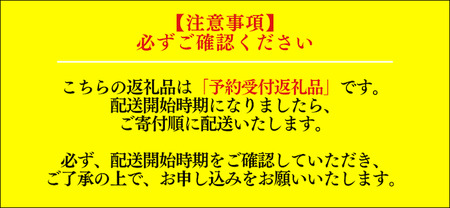 【2025年2月中旬から順次発送】　南伊豆産冷凍イチゴ1kg　【 紅ほっぺ いちご 果物 フルーツ 苺 イチゴ くだもの 冷凍 冷凍いちご 冷凍イチゴ 静岡県 南伊豆町 ふるさと納税 産地直送 】