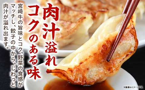 宮崎牛餃子セット　12個入り/5パックセット　合計60個 |牛肉 牛 肉 餃子
