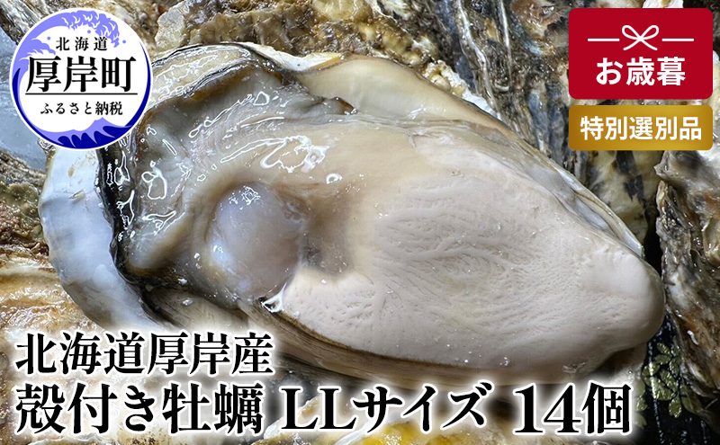 【お歳暮】北海道 厚岸産 ブランド牡蠣 マルえもん 殻付き 牡蠣 LLサイズ 14個 【光輝】 [ 魚貝類 生牡蠣 海鮮 海の幸 生食用牡蠣 生食用 生食用殻付き牡蠣 濃厚 甘み  オイスター ]  
