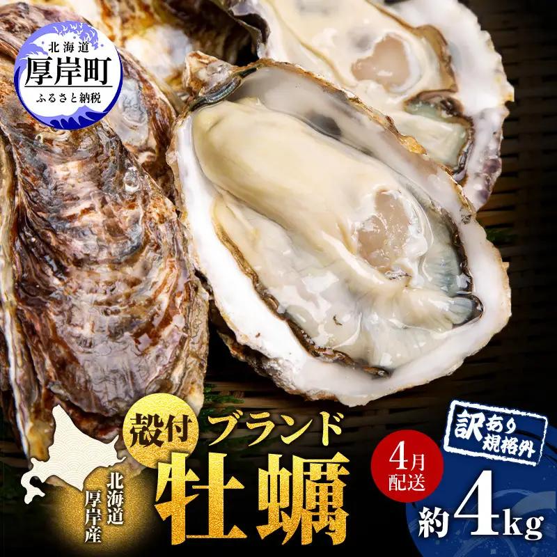 牡蠣 訳あり 約4kg 生食 4月発送【他月は別ページ】 マルえもん 牡蠣