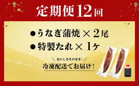 ヤマジュウ厳選！国産蒲焼き２尾【１２回定期便】＿うなぎ 鰻 ウナギ 2尾 国産 高知県産 蒲焼き かばやき 冷凍 うな重 ひつまぶし タレ ランキング 人気 12回 定期便 [yj048]