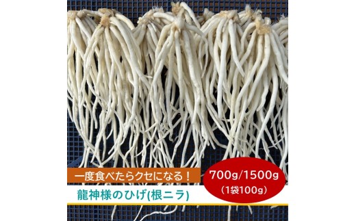 
                  先行予約[2026年12月発送] 根ニラ【龍神様のひげ】 全2種 700g[100g×7袋]/1,500g[100g×15袋]/ すわファーム 根ニラ ニラ 野菜 香味野菜 根菜 高原野菜 信州 長野県 諏訪市 諏訪湖 諏訪 [91-0102]
                
