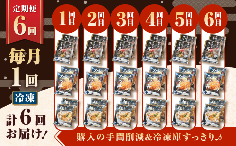 【全6回定期便】鹿児島の丼の具3種セット（2人前）　K258-T05_02b