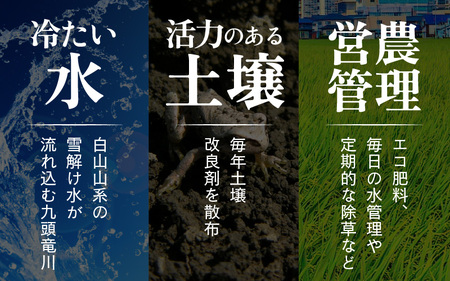 【先行予約】【令和7年産 新米】《定期便12回》エコ栽培コシヒカリ 白米10kg（5kg×2袋）計120kg ／ 鮮度抜群 福井県産 こしひかり ご飯 新鮮 白米 ※2025年10月上旬より準備出来次