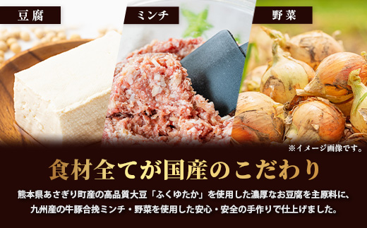 【定期便2回】 人気 ハンバーグ 食べ比べ 定期便 B 自家製豆腐のハンバーグ ／ くまもと黒毛和牛 生ハンバーグ 【合計3kg】 バラエティ 定期便 豆腐 牛肉 肉 熊本県産 092-0025