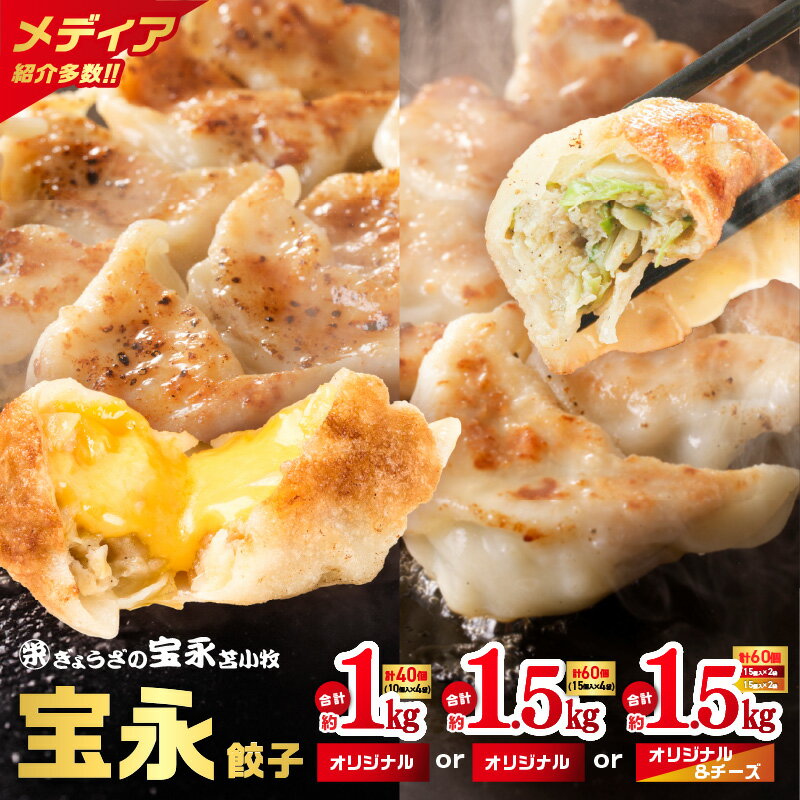 【ふるさと納税】＜選べる種類と容量＞ ぎょうざの宝永 宝永 餃子 チーズ餃子 1kg ～ 1.5kg 冷凍 ギョーザ 肉 野菜 チーズ 食べ比べ セット 水餃子 焼き餃子 もちもち ジューシー 中華 北海道 苫小牧市 おすすめ ランキング プレゼント ギフト