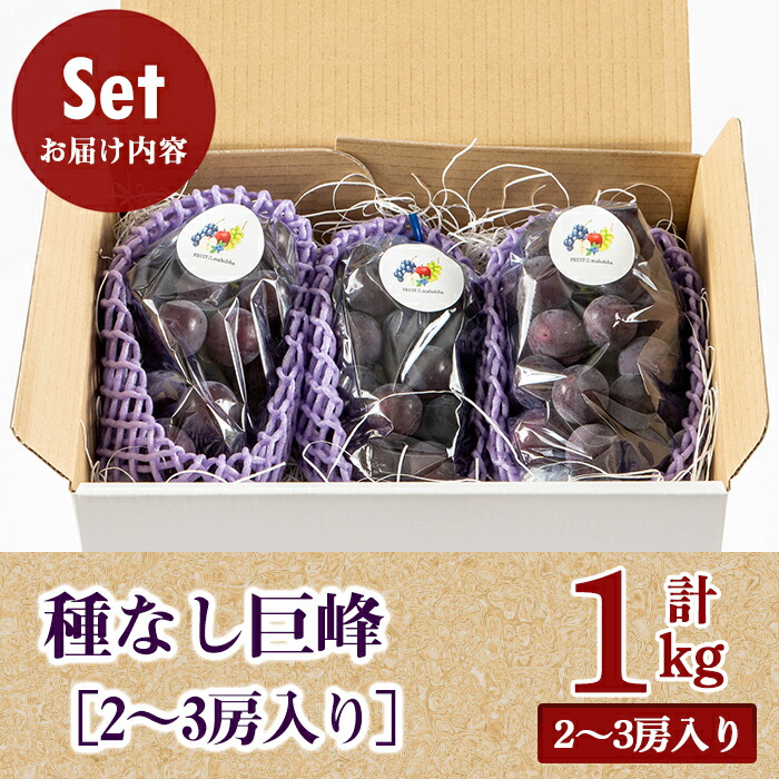 ＜先行予約受付中！2026年7月中旬以降順次発送＞ 巨峰1kg［2～3房入り］ 種なし巨峰 ぶどう ブドウ 葡萄 フルーツ 果物 くだもの デザート 種なし 【奥久慈 まほろばの郷 ふれあい農園】【ho1522】