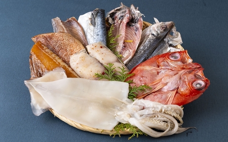 丸富の干物詰合せ「花鳥風月」干物 いか  さば  あじ  赤魚  ひらす 