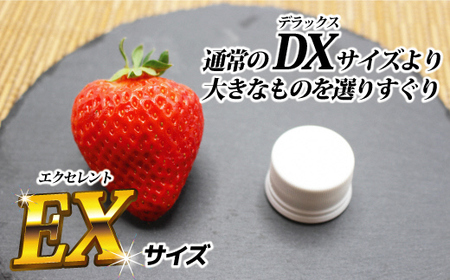 【先行予約】1月より順次発送！「博多あまおう」EX　贈答用化粧箱　約450g 2箱【ほたるの里】_HA0753