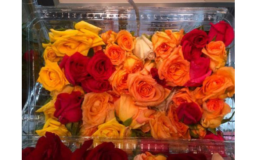 
            生花フラワーシャワーパック１パック【カラー選択可】
          