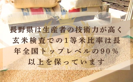 コシヒカリ 精米 5kg 令和7年産 |コシヒカリ 5kg