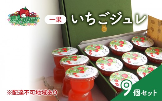 
フルーツジュレ 一果 いちご 9個 セット フルーツ 紅ほっぺ 農マル園芸 あかいわ農園 岡山
