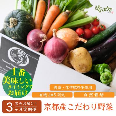 ふるさと納税 京都市 <3か月定期便>【緑のゆうき】京都産こだわりの野菜セット