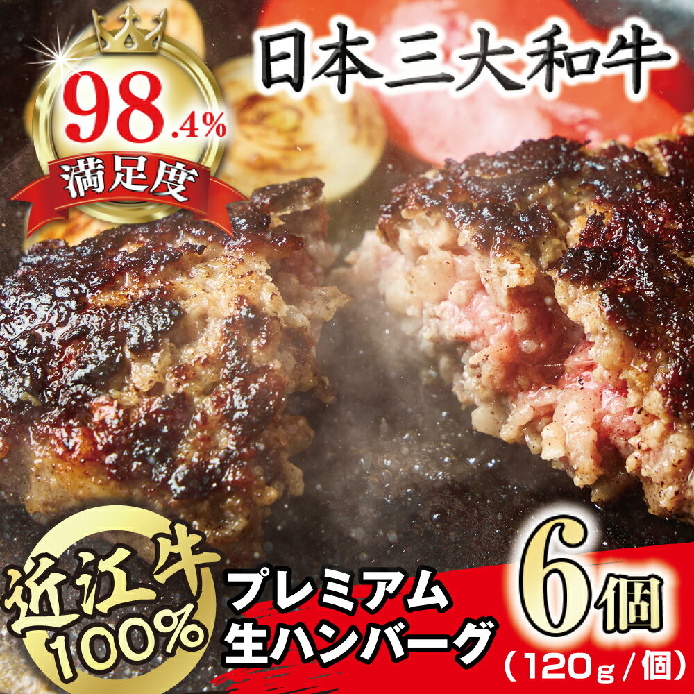 【ふるさと納税】近江牛100％　プレミアム生ハンバーグ　6個 720g（約120g×6個） 牛肉 国産 ハンバーグ 近江牛 生産量日本一 近江八幡市 日本三大和牛 冷凍