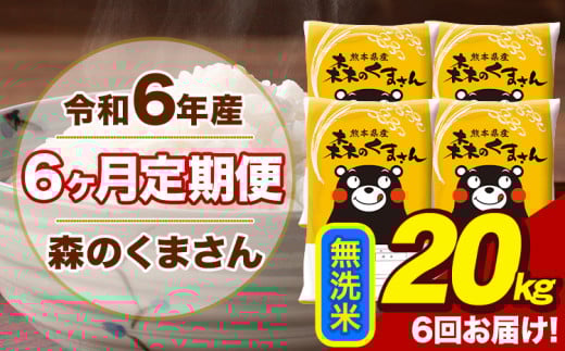 令和6年産 森のくまさん 無洗米 20kg 5kg×4袋 計6回お届け 《お申し込み月の翌月から出荷開始》 お米 こめ 熊本県産 ご飯 備蓄