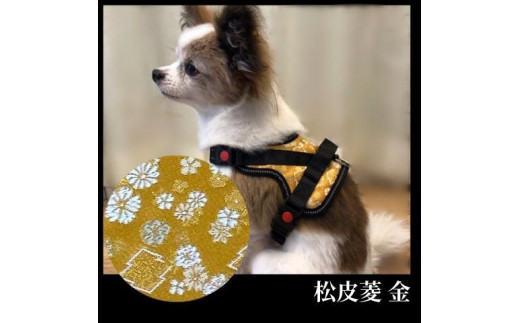 
【柴犬コウタのハッピィショップ】小型犬用 京都西陣金襴織 ハーネス 華～HANA～ （松皮菱 金）
