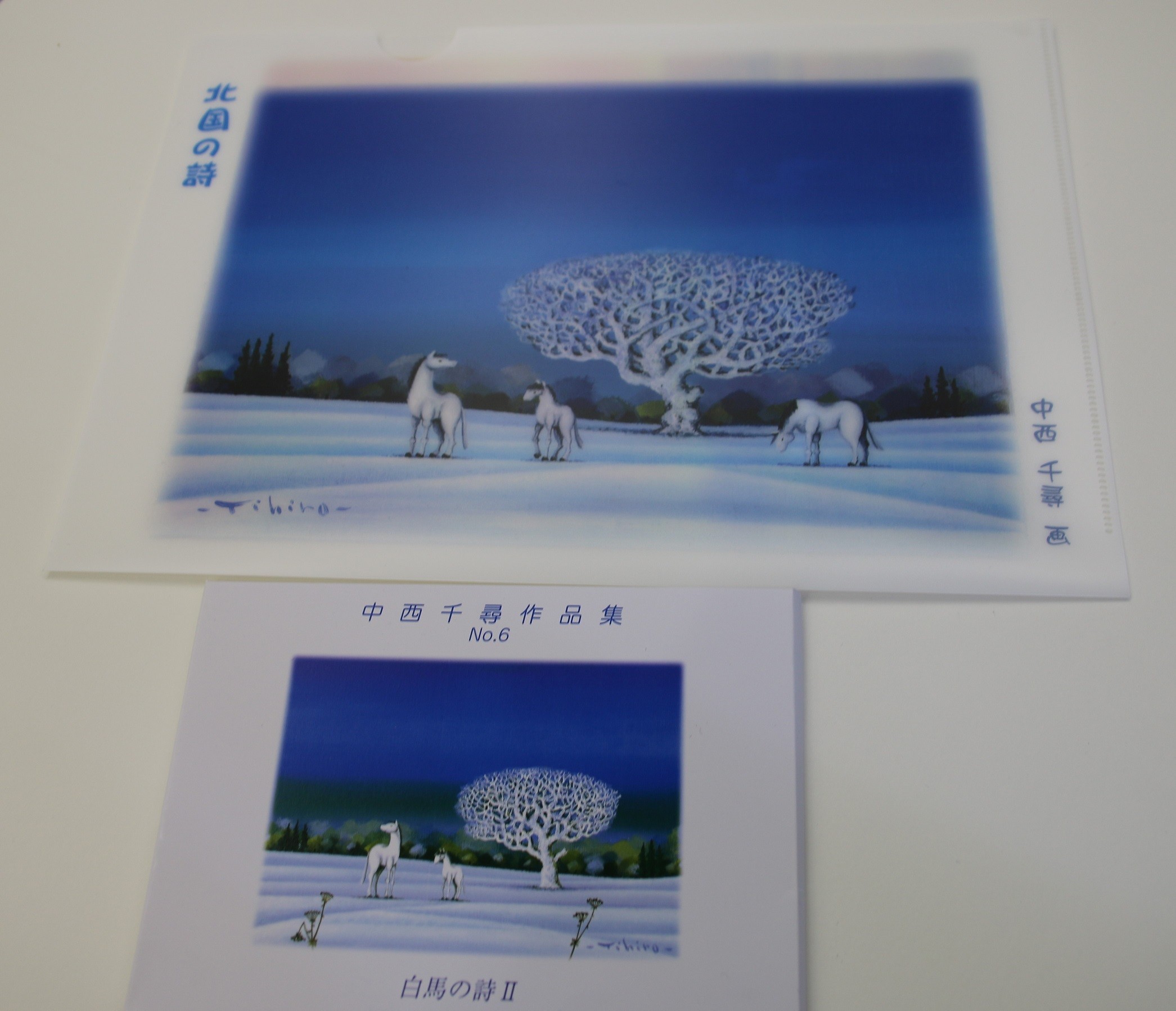 
村内在住画家による絵画・クリアファイル＆絵葉書セット[X05-2]
