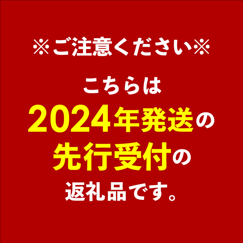 【先行受付】【2024年発送・家庭用】ワイズ農園の完熟マンゴー約1.5kg【価格改定】