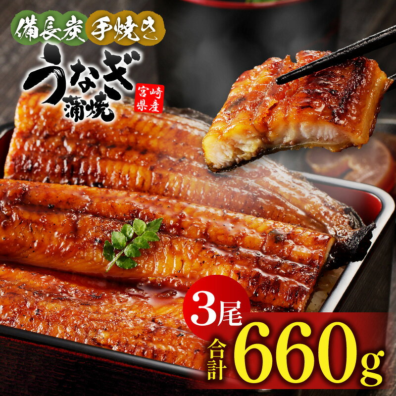 【ふるさと納税】 【宮崎県産】うなぎ 備長炭 手焼き 蒲焼 3尾 660g うなぎの蒲焼 鰻蒲焼 国産 たれ 山椒 惣菜 和風総菜 贈答 贈り物 ギフト プレゼント グルメ イベント 記念日 お取り寄せ 冷凍 真空パック パック 冬うなぎ 宮崎県 宮崎市 送料無料
