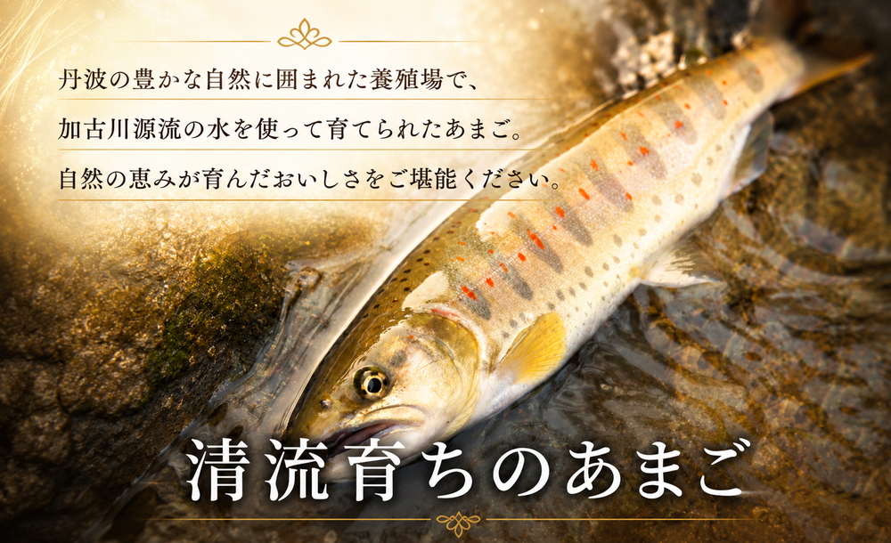 あまごづくしペアチケット（お2人様分） 清流育ち あまご料理フルコース  川魚 鮎 あゆ 渓流魚 和食 懐石 食事券 お食事券 利用券 チケット ランチ ディナー デート 記念日 グルメ 体験 兵庫県