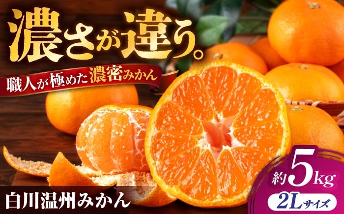 
                  【先行予約】 旨み凝縮！ 飛龍台木 白川 温州 みかん 2Lサイズ 約5kg 山鹿市産　【小春農園】 [ZBN010]
                