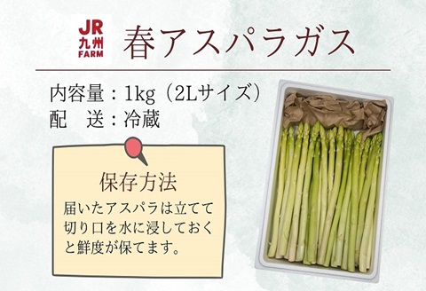 JR九州ファームの春アスパラガス　2Lサイズ1kg【B2-153】 野菜 新鮮 アスパラガス アスパラ 春アスパラ 甘み