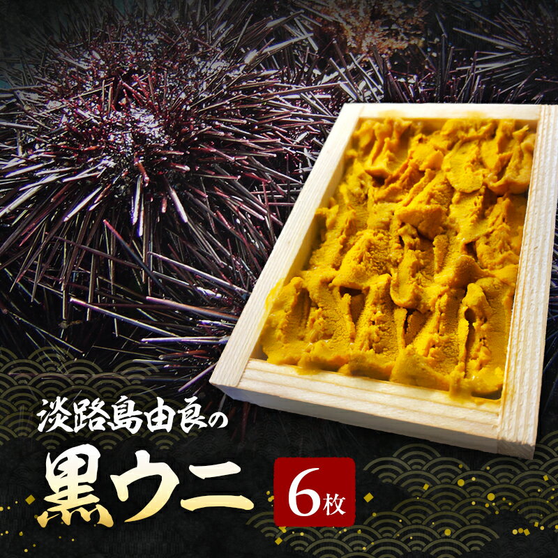 【ふるさと納税】淡路島由良の黒 ウニ 【6枚】3月～5月配送 無添加 木箱入り ミョウバン不使用 うに 雲丹 冷蔵配送 兵庫県 洲本市 淡路島　お届け：2026年3月中旬～2026年5月下旬