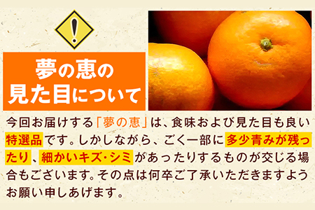 夢の恵 みかん 約2.5kg(20玉～30玉前後) 熊本県産 （荒尾市産含む） 糖度12度以上 ブランドみかん ブランド 贈答用 贈り物《11月中旬-12月下旬頃出荷》 熊本県 荒尾市