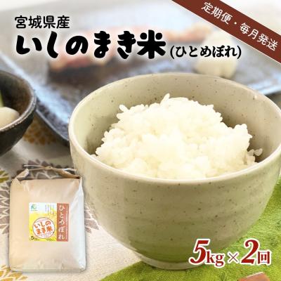 ふるさと納税 石巻市 米 定期便 【定期便2回・毎月発送】宮城県いしのまき産米「ひとめぼれ」5kg×2回(精米) 石巻市